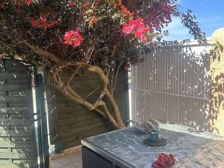 maison 3 pièces 55 m²