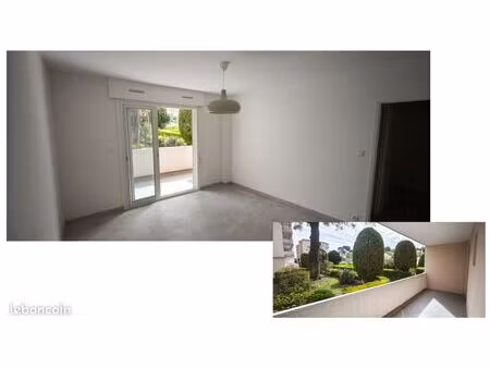 appartement 1 pièce 31m2