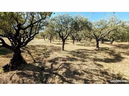 terrain 1 200 m² lorgues