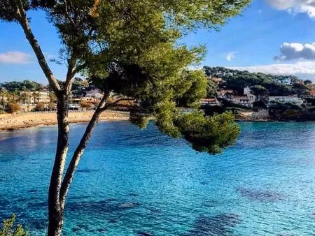 portissol studio rdj entièrement rénové