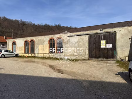 saint-geoire-en-valdaine - entrepot / local industriel -1175 m²