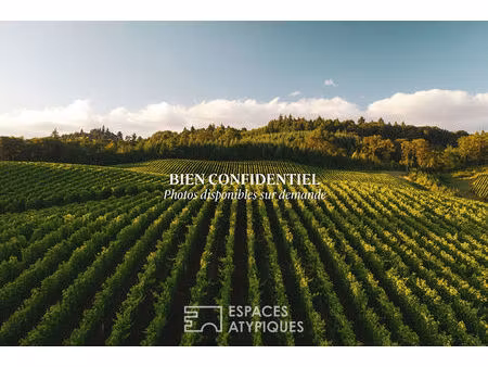 domaine viticole confidentiel aux multiples demeures - limoux