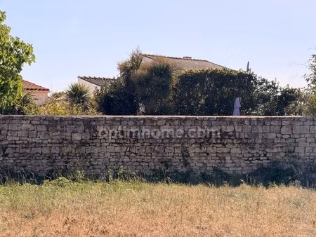 terrain à vendre le bois plage en re (17)