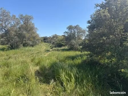 location terrain agricole