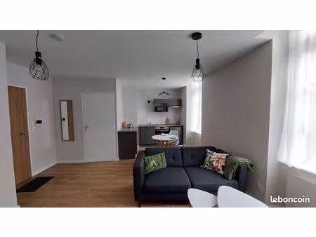 a louer appartement standing- meuble 40 m2 -centre ville rodez