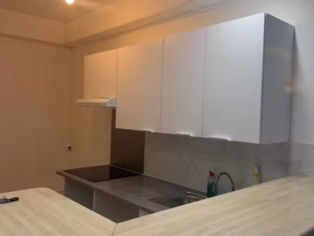 bel appartement refait à neuf en plein centre ville