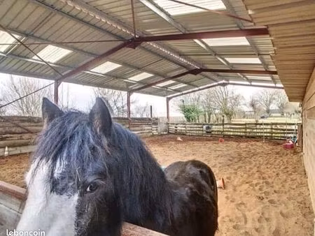 mini centre équestre à vendre