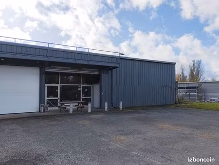 local commercial 1000 m2 a louer