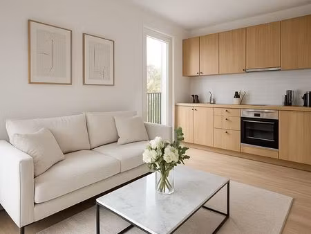 appartement 2 pièces 45 m²