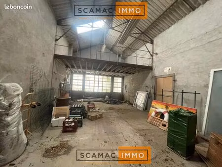 local industriel 800 m²