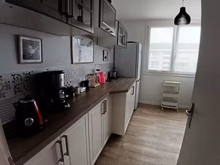 reims saint remi au pied de la basilique - appart t5 - 4 chambres