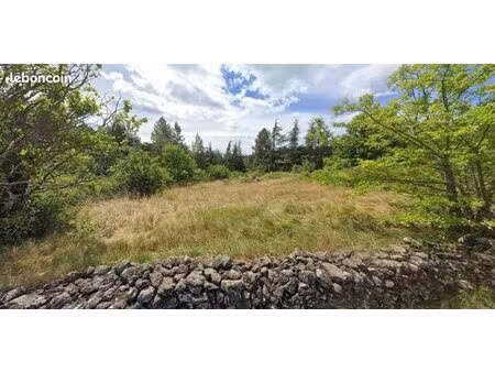 terrain 1 350 m² saint pierre saint jean