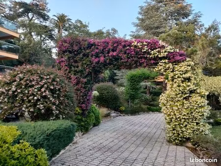 cannes f2 grande terrasse 70m2