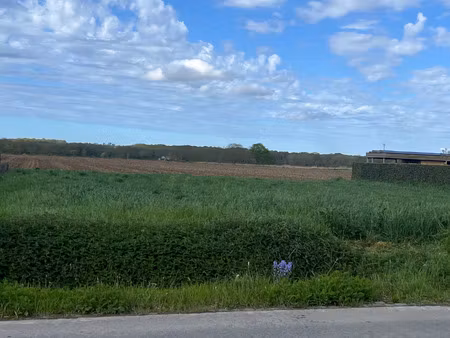 terrain à vendre à poelkapelle € 279.360 (l66xl) - notariskantoor e. vanslambrouck | zimmo