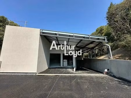 vente local d'activités 230 m²