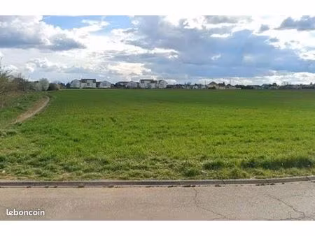 terrain 301 m² wittenheim