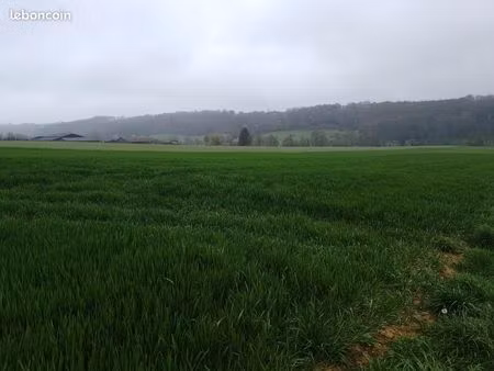 terrain 19000 m² saint-mard-de-reno