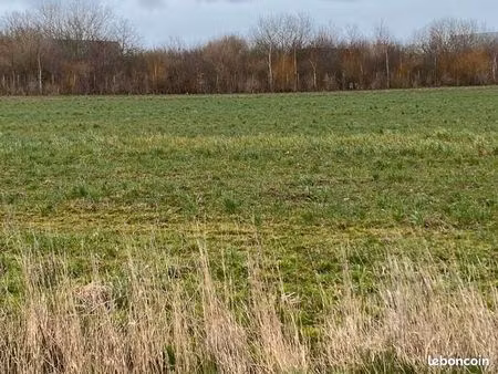 terrain 1 000 m² doudeauville
