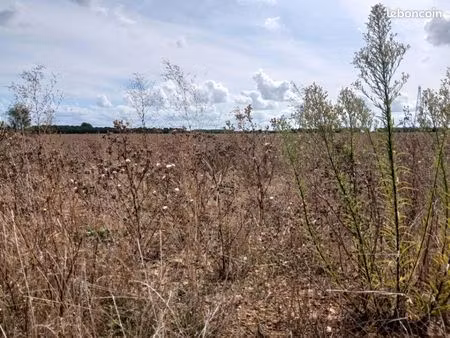 terrain 385 m² frenouville