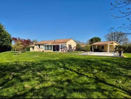 sarl alpha immobilier