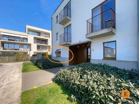 appartement te huur in sint-niklaas met 1 slaapkamer