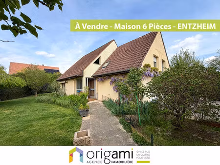 nouveauté origami en exclusivite a entzheim