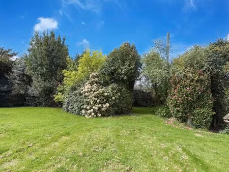 ploudaniel demeure t8  5ch  sous-sol complet