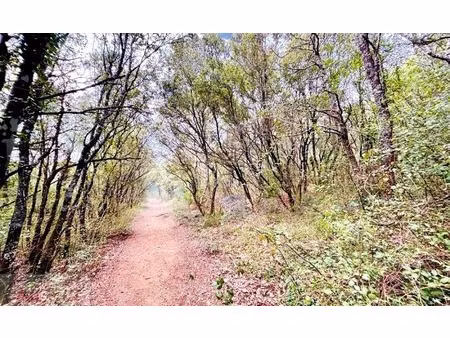 vente terrain de loisir monoblet  20 000€ gard languedoc roussillon n°