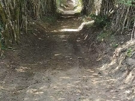 terrain avec source pour étang