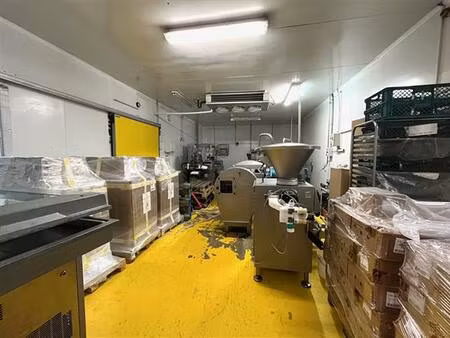 vente local d'activités corbas 550 m²