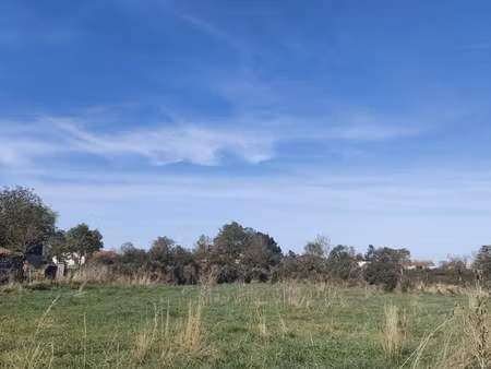 achat terrain 1 433m² st vidal 43320