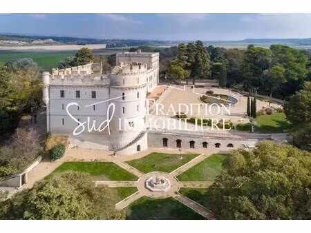 un chateau au coeur des alpilles
