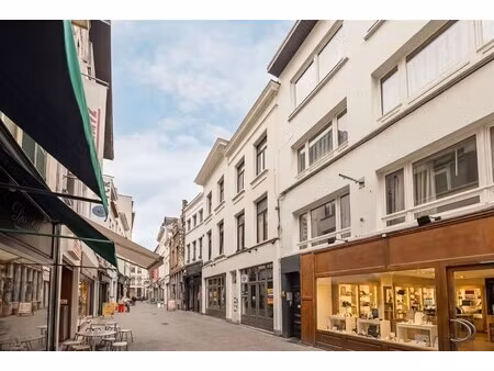 gerenoveerd appartement met gezellig terras en één slaapkamer