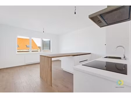 gerenoveerd appartement met één slaapkamer