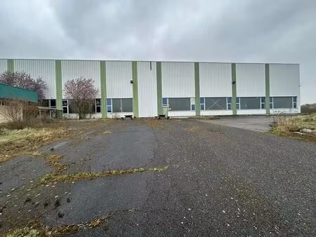 vente entrepôt henriville 57450 10245m²