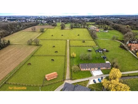 paal - landelijk doch centraal gelegen langgevelhoeve op 5ha2