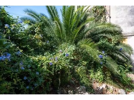 terrain de 2000 m2 - carqueiranne  provence-alpes-côte d'azur