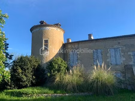 chateau de 500 m² à antras