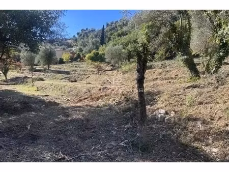 annonce terrain à vendre