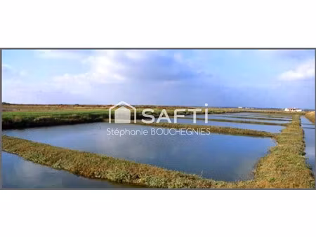 vente commerce 5 pièces 460 m² marennes-hiers-brouage (17320)