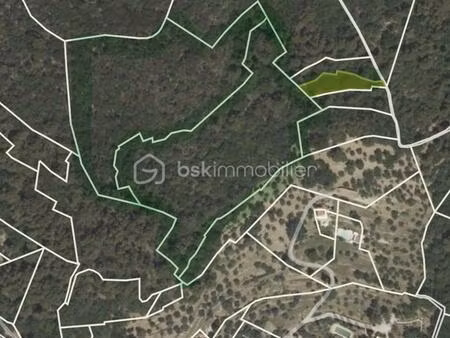 foret de 36 000 m² à fayence