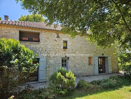 laroque-timbaut  maison 18ème  324 m²  10 pièces  double garage  terrasses  vue