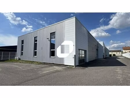 location local d’activités mundolsheim 67450 479m²