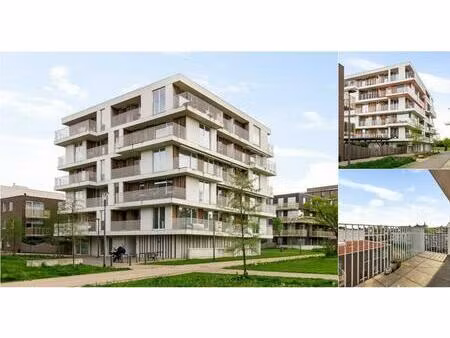 appartement à vendre à ganzendries 15 hoboken (rbv74320)