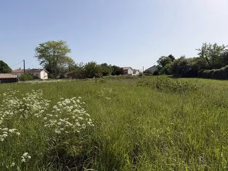 terrain constructible 3202 m²