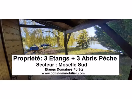 achat terrain 30 000m² chateau salins 57170
