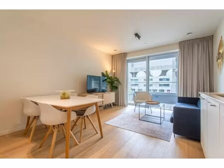mooi gemeubeld 1 slpk appartement met terras (nieuw zuid)