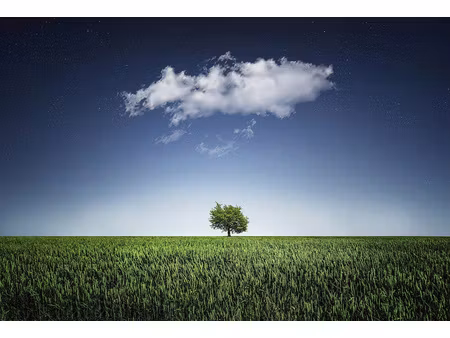 terrain à bâtir de 9266 m2 secteur proche fécamp