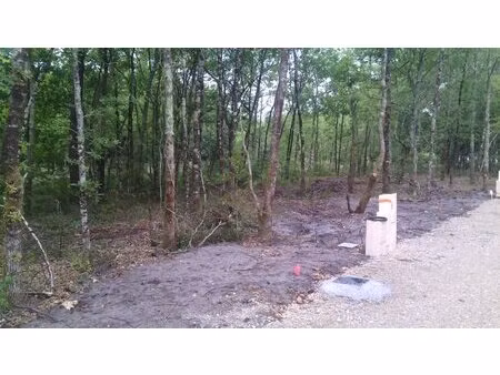 terrain à bâtir à salles (33770)