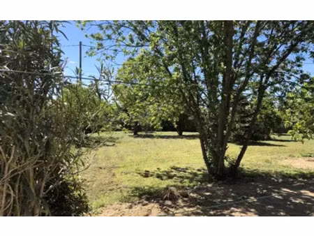 la salvetat-saint-gilles (31880)